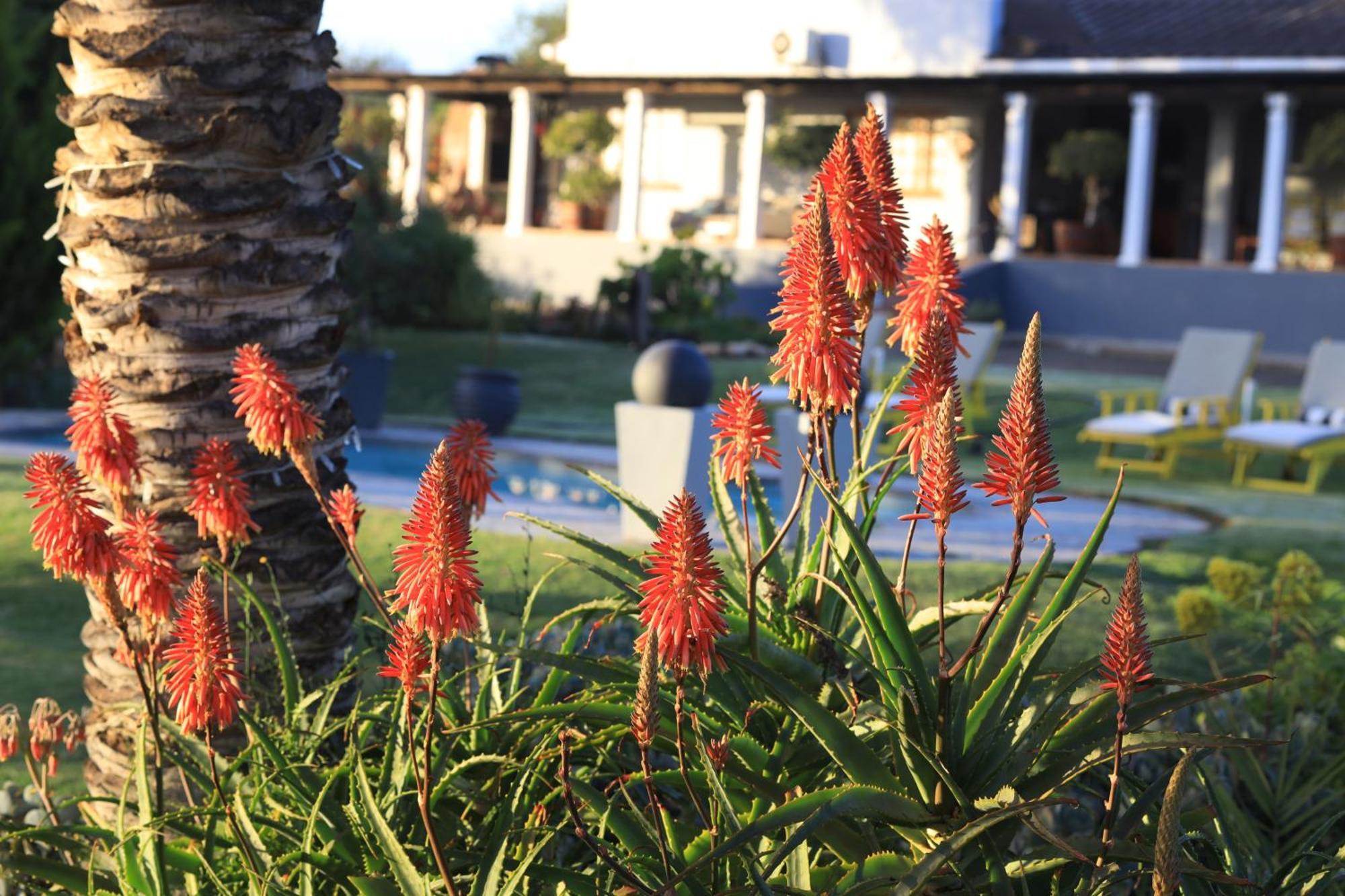 Thylitshia Villa Country Guest House Oudtshoorn Eksteriør bilde