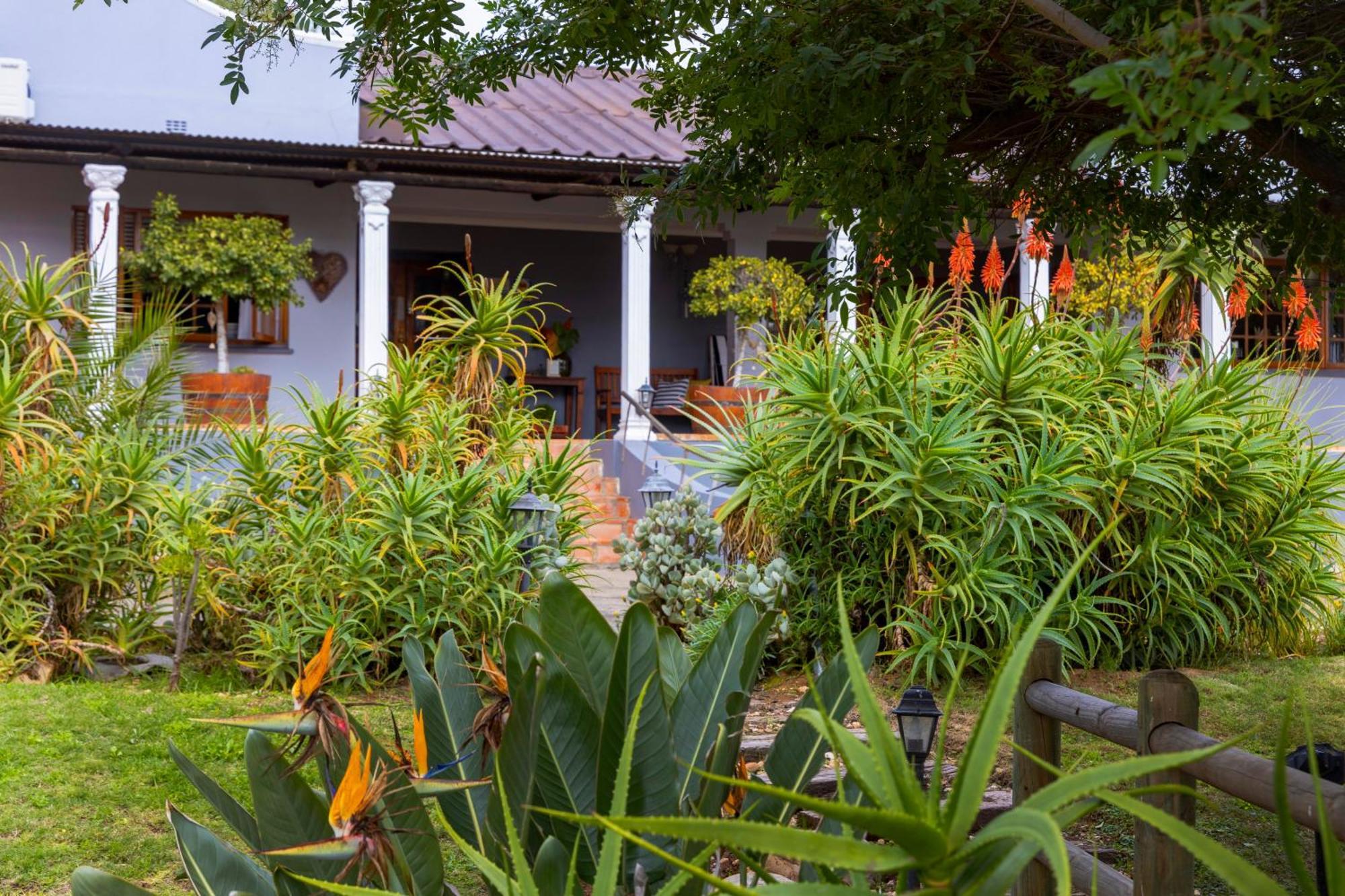 Thylitshia Villa Country Guest House Oudtshoorn Eksteriør bilde