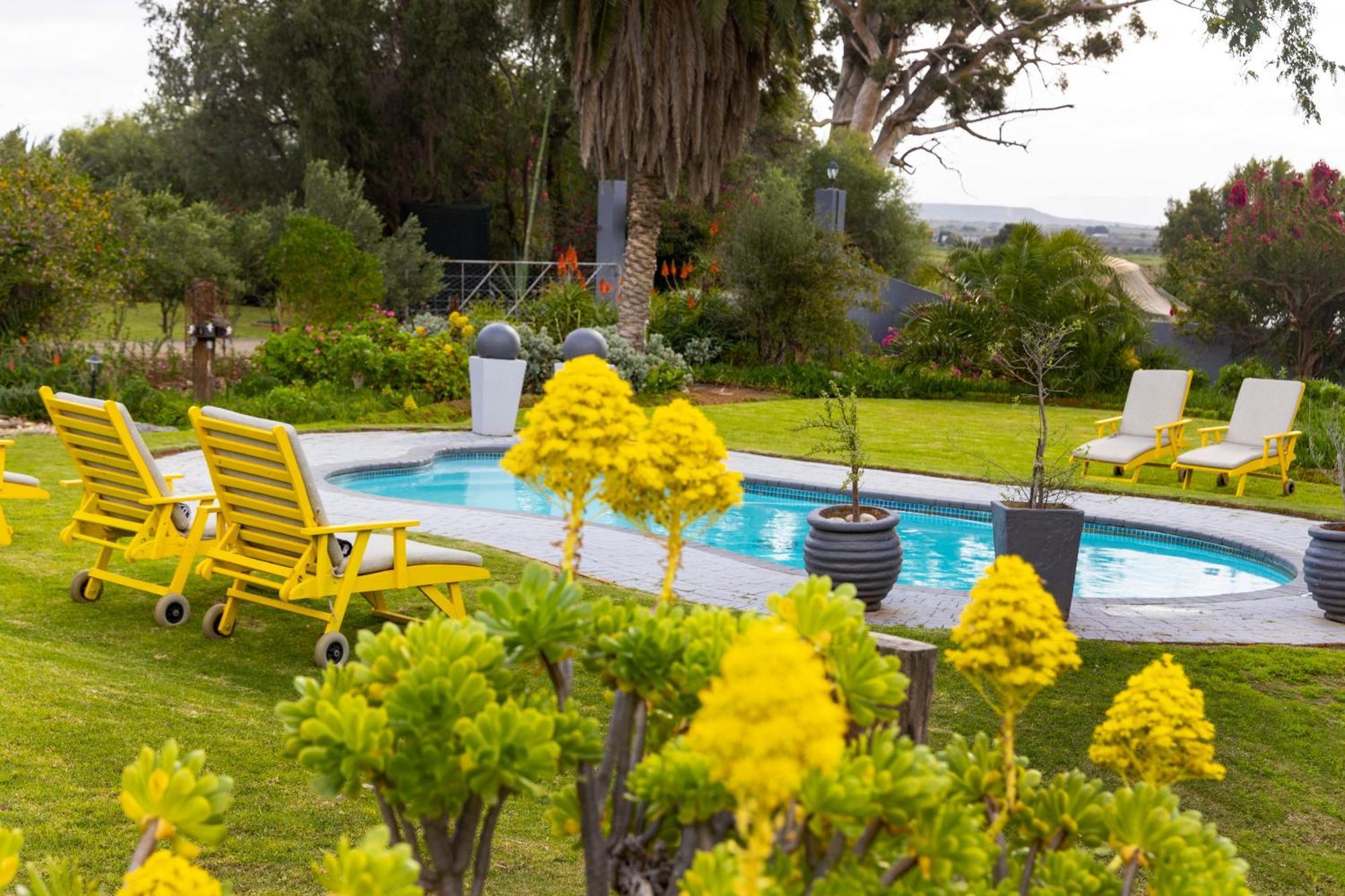 Thylitshia Villa Country Guest House Oudtshoorn Eksteriør bilde