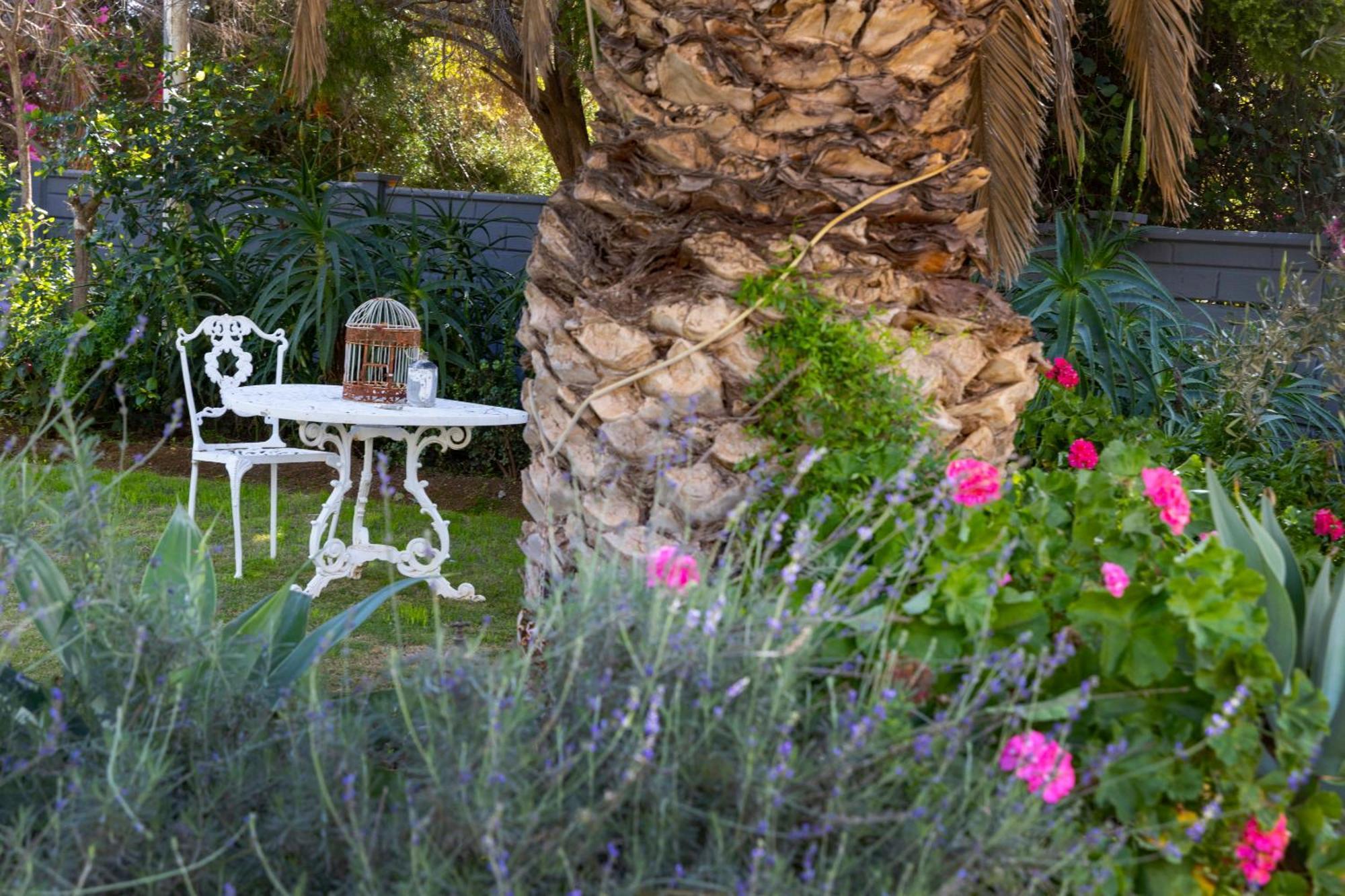 Thylitshia Villa Country Guest House Oudtshoorn Eksteriør bilde