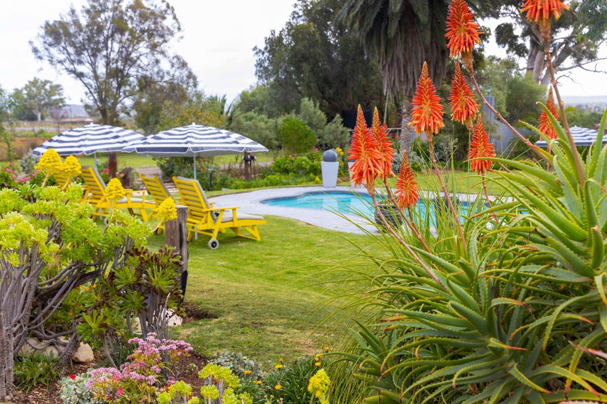 Thylitshia Villa Country Guest House Oudtshoorn Eksteriør bilde