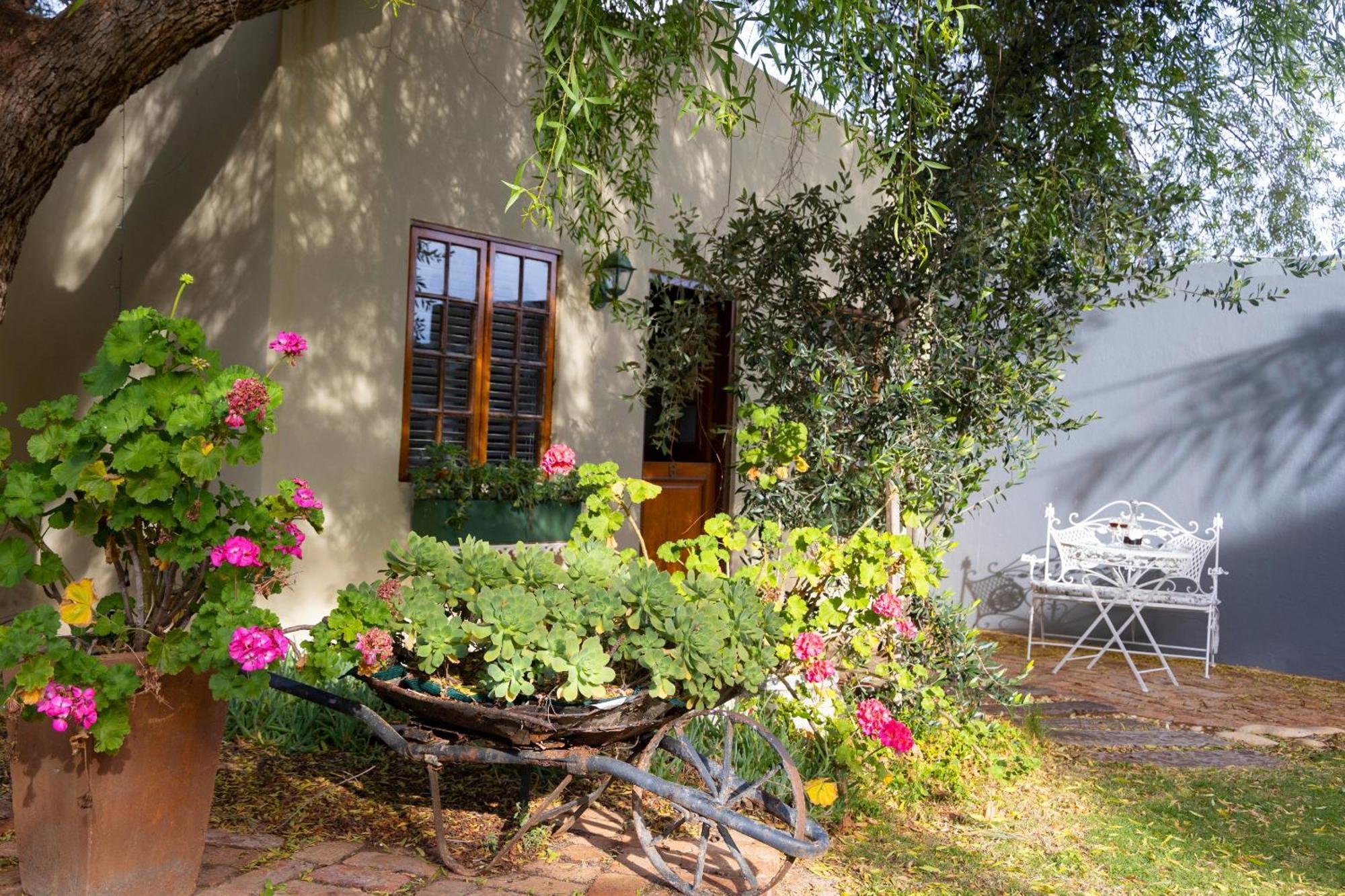 Thylitshia Villa Country Guest House Oudtshoorn Eksteriør bilde